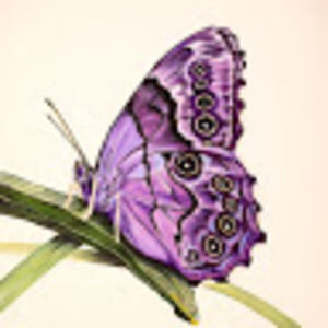 Meet your Posher, Aletha